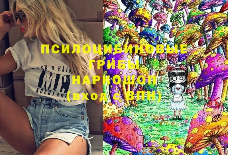 купить наркоту  Боровск  Псилоцибиновые грибы Magic Shrooms 